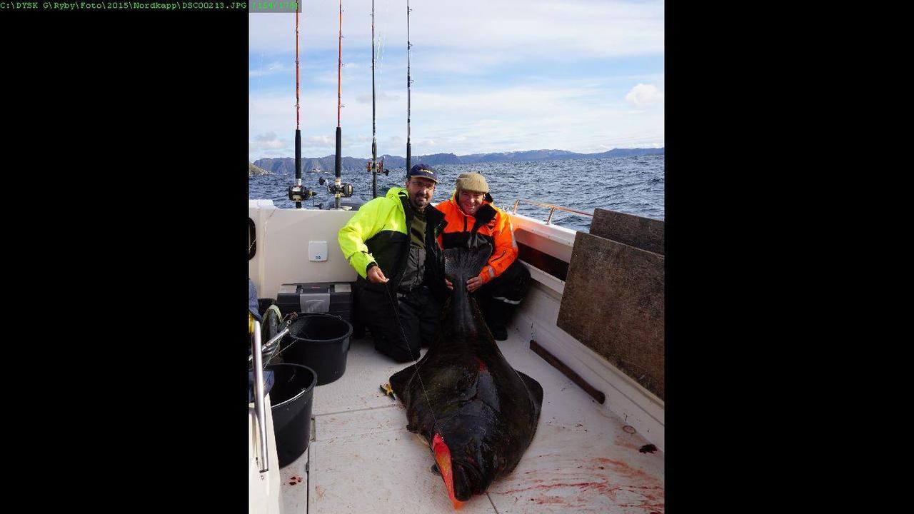 Norge-Fishing Vandrerhjem Gjesvær Eksteriør bilde